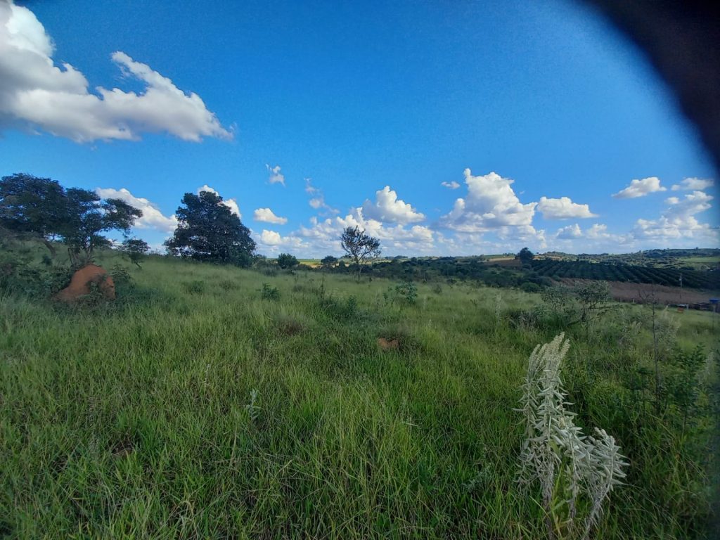 VENDE-SE ÁREA PLANA PARA PLANTIU DE GRÃOS