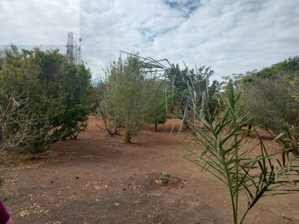 SITIO VENDA – TRÊS PONTAS