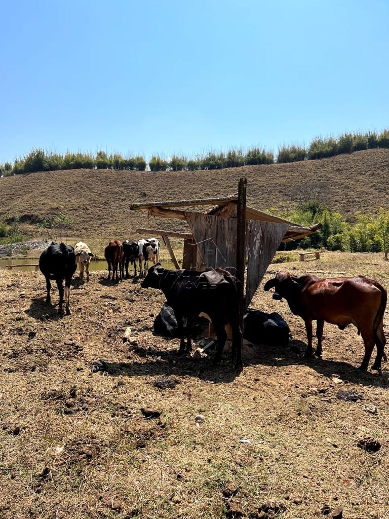 SITIO VENDA – LIMA DUARTE – MG