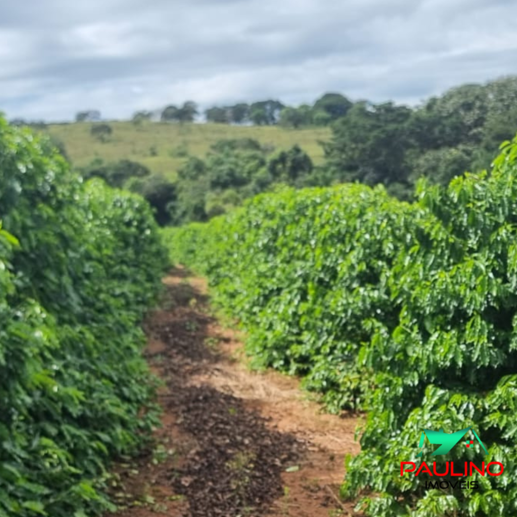 SÍTIO VENDA – ZONA RURAL