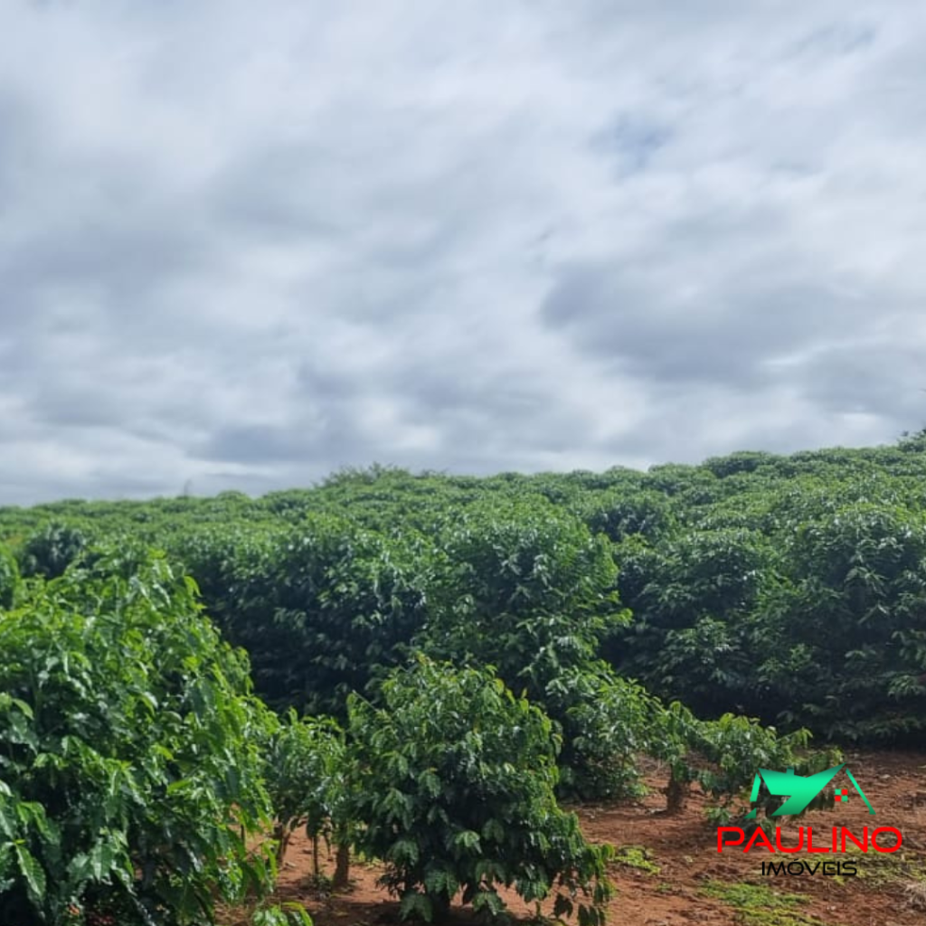 SÍTIO VENDA – ZONA RURAL