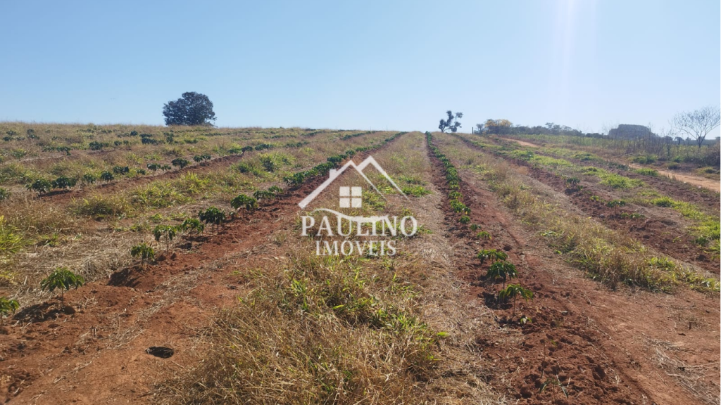 LOTES À VENDA – Condomínio Solar das Laranjeiras no Pontalete