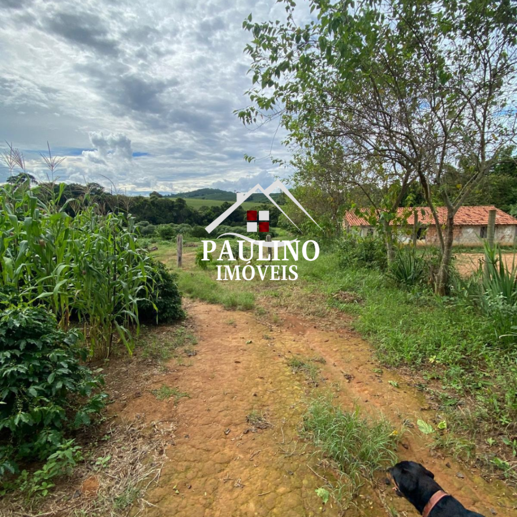 💫VENDE SE FAZENDA💫