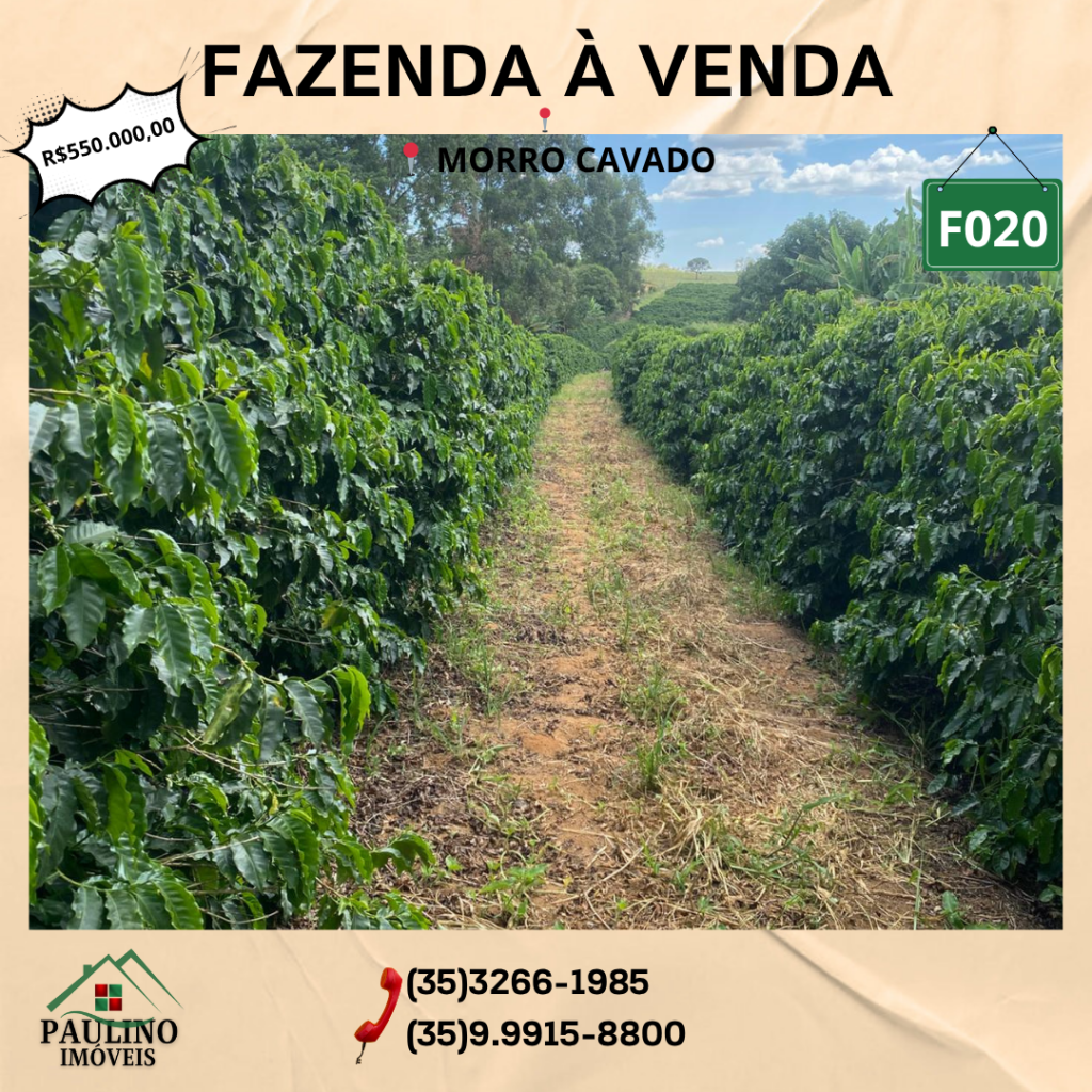 💫VENDE SE FAZENDA💫