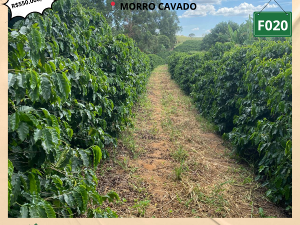 💫VENDE SE FAZENDA💫